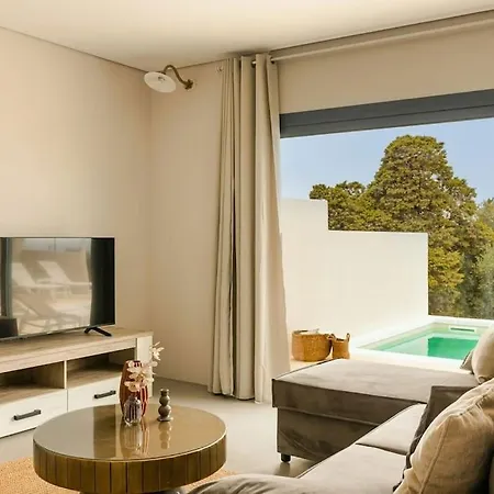 Dido - Zen فيسكاردو